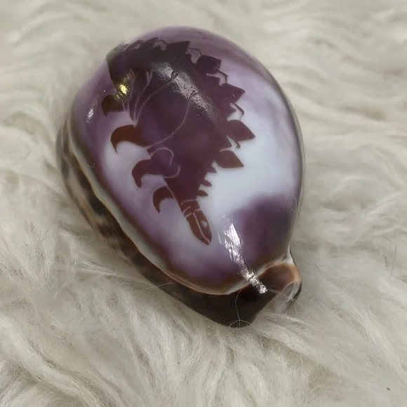 Tiger Cowrie Shell with Purple Tinted Stegosaurus Dinosaur! - Picture 3 of 3